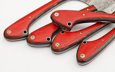 Custom Handmade Damascus steel kitchen/BBQ knives set - Troy Blades