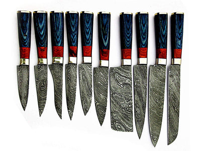 Custom Made Damascus Steel Kitchen Knife 10-Pcs Set - Troy Blades