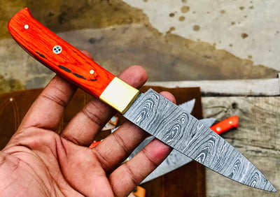 Custom Handmade Damascus Kitchen/BBQ Set S006 - Troy Blades